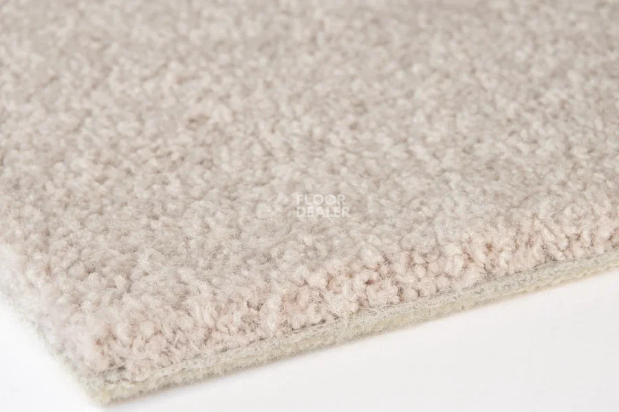 Vorwerk Superior 1065/Viola Vorwerk 8k03 фото 3 | FLOORDEALER